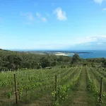 Vakantieboerderij Quinta Vale Da Roca Sintra