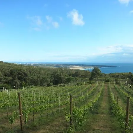 Séjour à la ferme Quinta Vale Da Roca Sintra