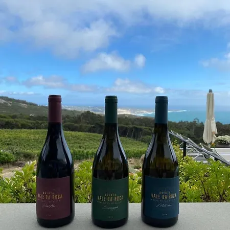 昆塔瓦勒罗卡别墅 农家乐 辛特拉