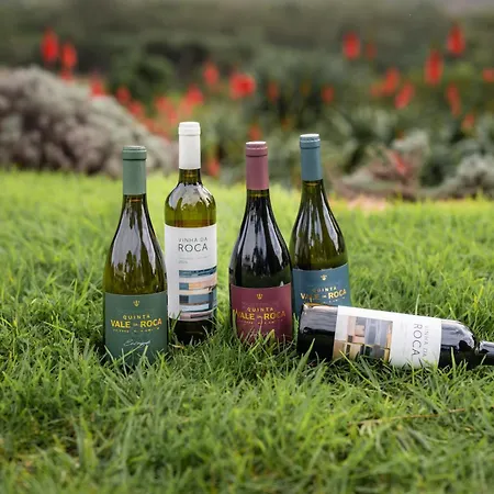 Quinta Vale Da Roca Farma *