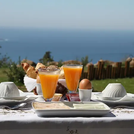 Quinta Vale Da Roca Фермерский дом Синтра