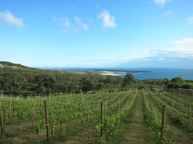 Gospodarstwo agroturystyczne Quinta Vale Da Roca Sintra