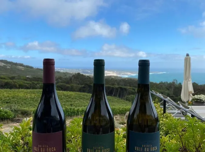 Quinta Vale Da Roca Gospodarstwo agroturystyczne Sintra