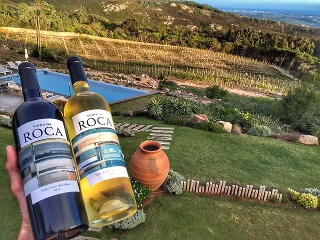 Vakantieboerderij Quinta Vale Da Roca
